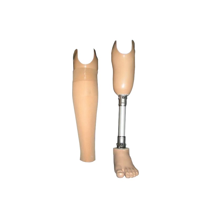 Blauzdos (žemiau kelio) protezas